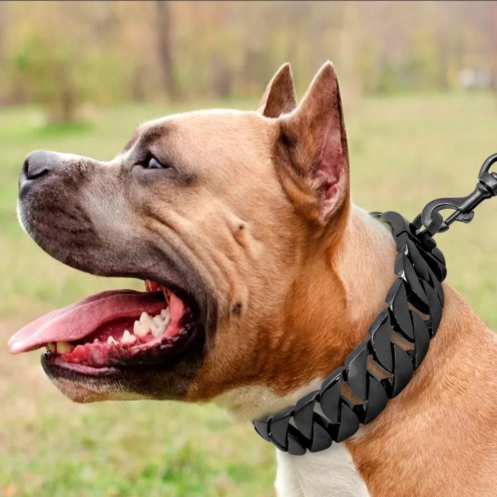 Miami Cuban Chain Pet Dog Neckaces Cellars Choker Pitbull Bulldog Medium stora hundar Pitbull Gold Silver Black Heavy and Duty Dog D215V