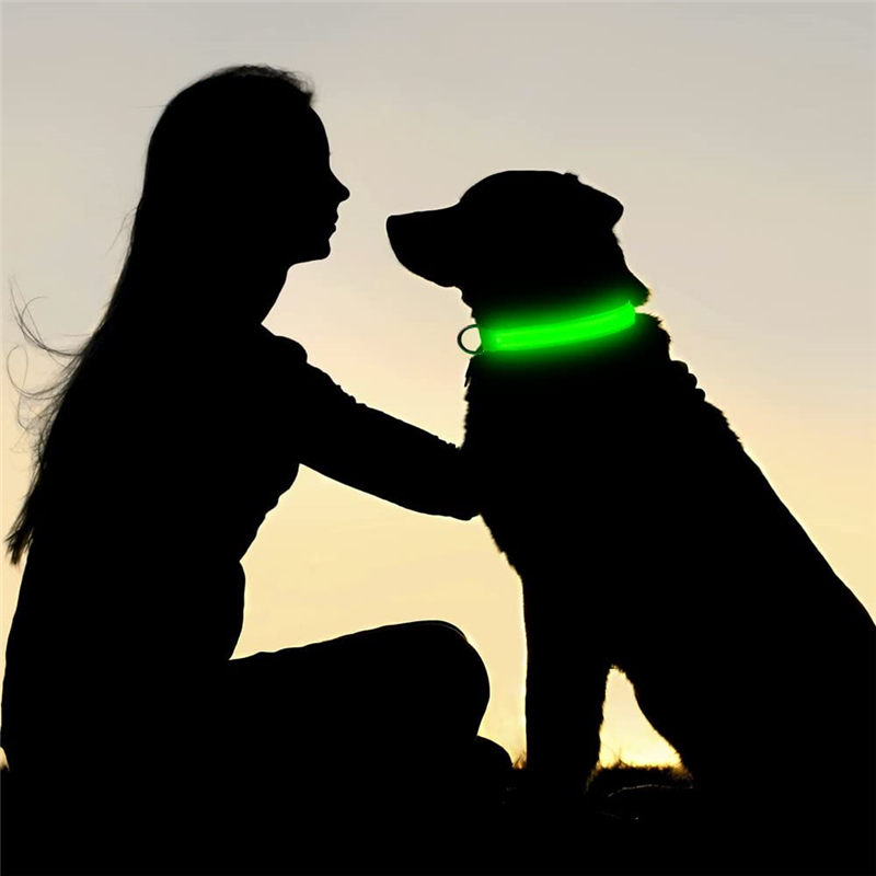 Nylon LED Collare cani Illuminazione notturna Sicurezza lampeggiante Bagliore nel buio Cat Guinzaglio Cani Collari fluorescenti luminosi Forniture