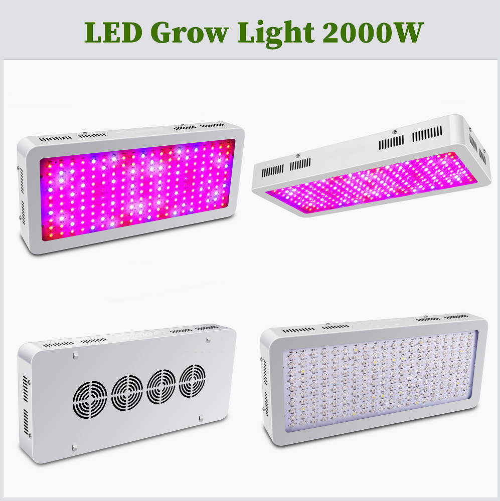 LED élèvent la lumière 600/800/900/1000/1200/1800/2000W spectre complet légumes/floraison 410-730nm pour les plantes d'intérieur serre de fleurs poussent la tente