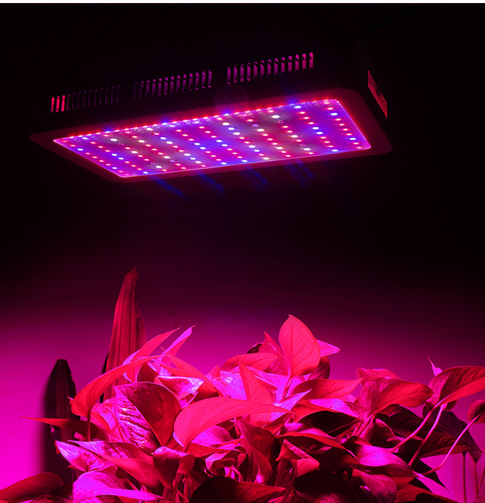 Luci di coltivazione a spettro completo 300/600/800/900/1000/1200/1800/2000W LED Coltiva la luce 410-730nm piante da interno e fiori in serra Coltiva la tenda