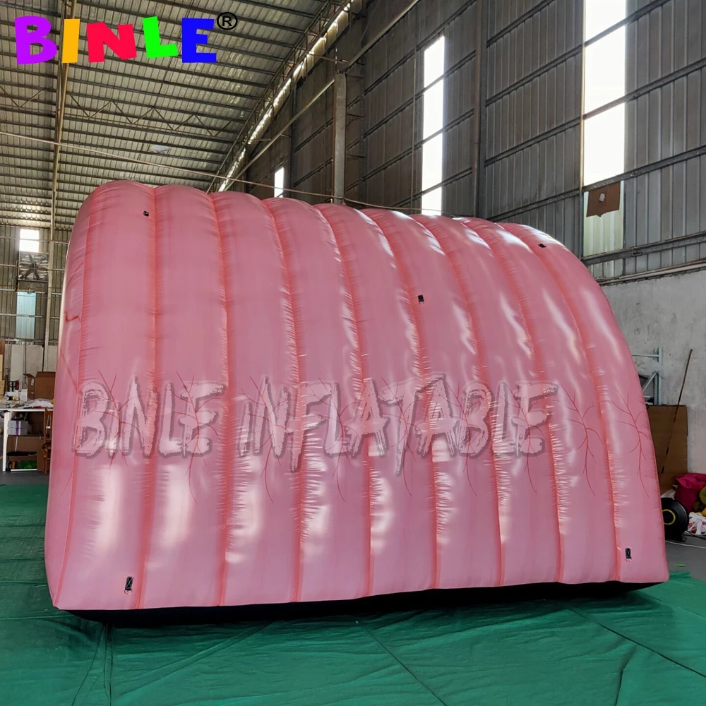 High Quality  Inflatable Colon For Medical Teaching Use Custom Inflatable Intestine Organ Tunnel Tent