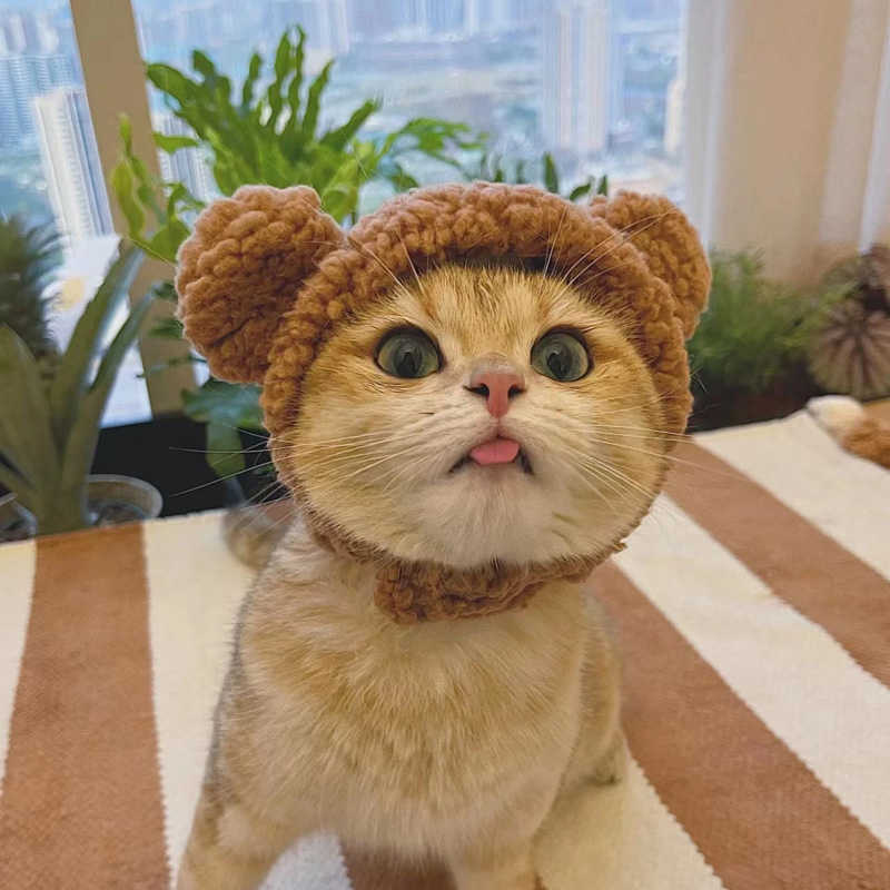 Trajes de gato Fofo Urso de Pelúcia Boné de Gato Vestido de Aniversário Chapéu de Cachorro Orelhas de Coelho Engraçado Chapéu de Cachorrinho Animais de Estimação Adereços Fotográficos Toucado de Gatinho AA230321