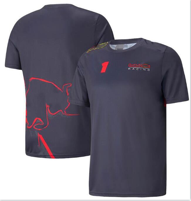 2023 New F1 Racing T-Shirt Shirt Sleeve Polo Shirt نفس مخصص FIT270R