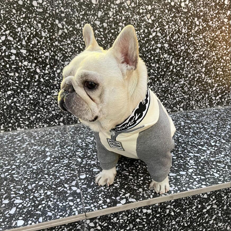 Vestuário de cão de grife cães cães de verão camisetas de cachorro respirável com letras clássicas padrão algodão animal de estimação Casaco de verão ps1889