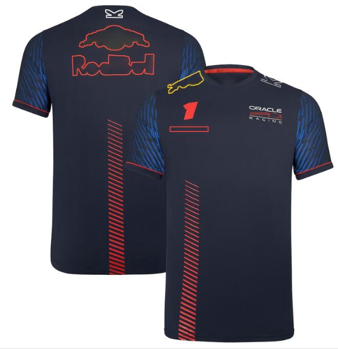 Nova camisa polo da equipe F1 F1 Racing Camiseta mesmo estilo de personalização