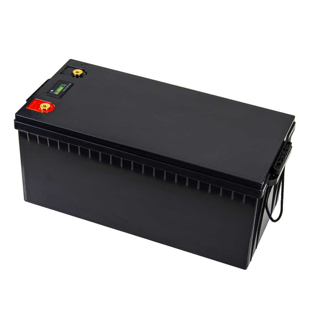 Nuovo pacco batteria 100Ah 200Ah 280Ah 300Ah 12V 24V LiFePo4 Batterie al litio ferro fosfato BMS integrate barca solare esentasse