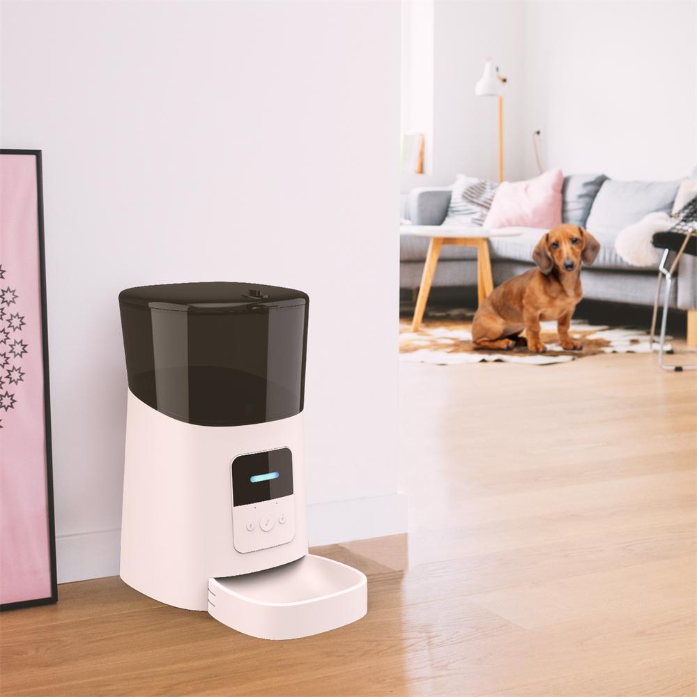 Voeden 6L WiFi Smart Automatische Pet Feeder APP Controle Timing Voeden Voice Record Pet Food Dispenser Kom Voor Honden katten