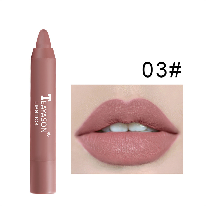 12 couleurs velours mat rouge à lèvres cosmétiques étanche longue durée nude rouge à lèvres non collant baume à lèvres durable brun lèvre teinte stylo