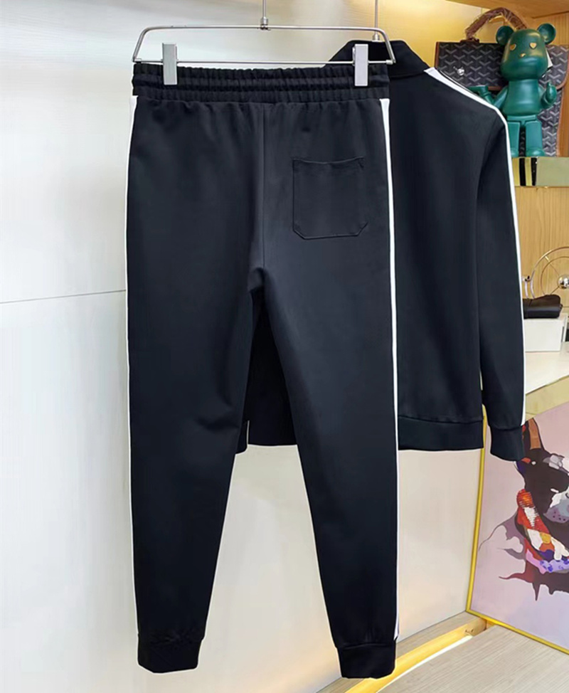 Mode hommes survêtements hommes veste à capuche pantalons pour hommes 2 pièces ensemble fitness col montant vêtements de sport décontractés sweats à capuche manteau taille élastique pantalon lettre impression ensemble pur