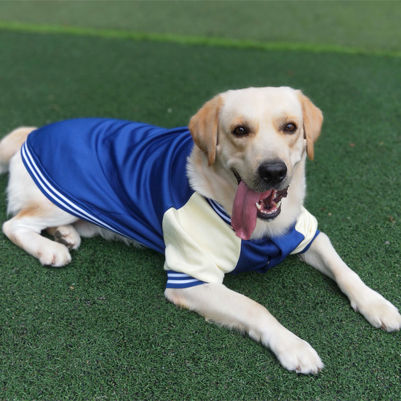 Baseball clothing pet clothing medium large dogs Golden Retriever Labrador dog clothing autumn and winter models