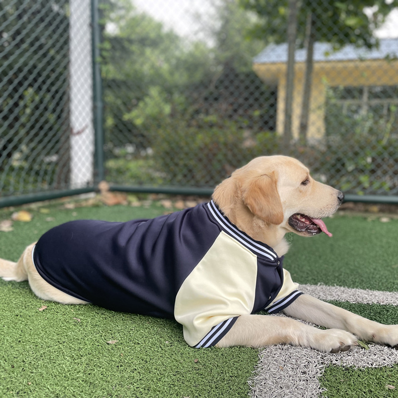 Baseball clothing pet clothing medium large dogs Golden Retriever Labrador dog clothing autumn and winter models