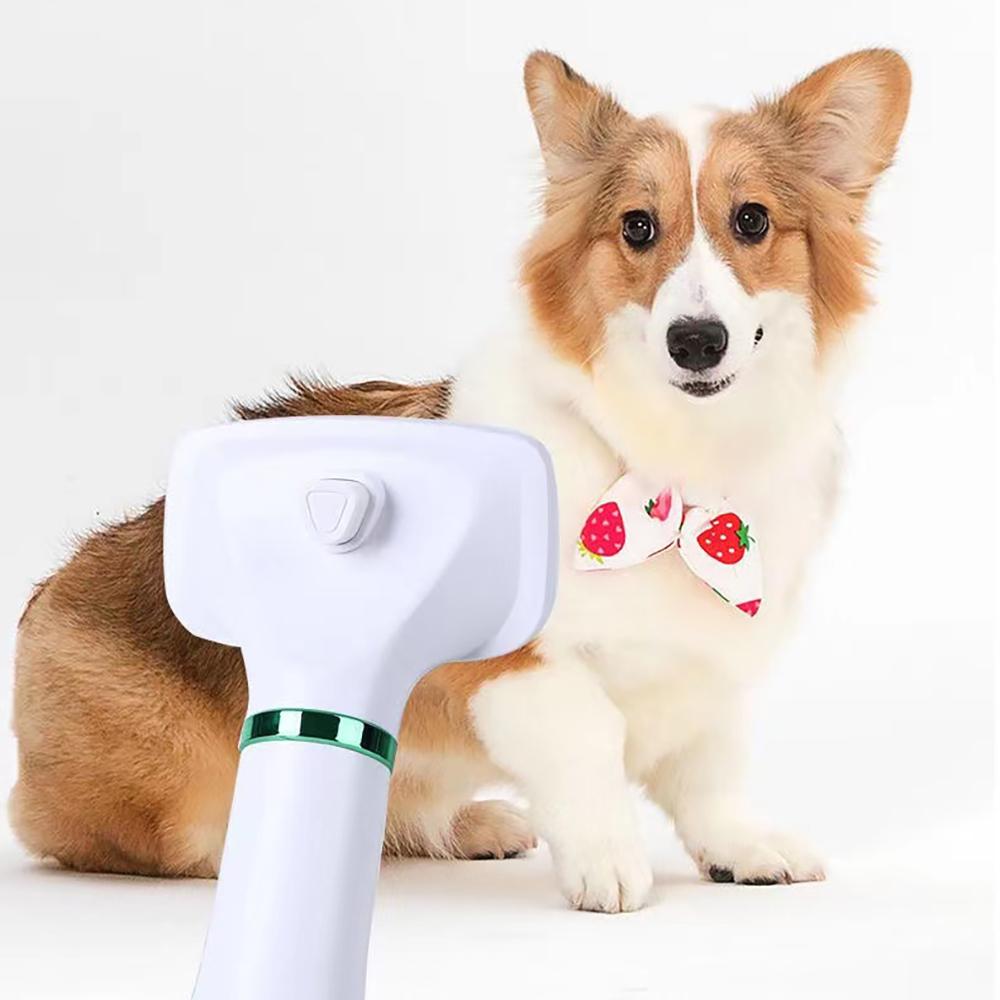 Dryers 2In1 Pet hair comb hot air comb one key hair removal Grooming Dryer Portable Cat Hair Comb Dog Fur Blower Low Noise Temprature