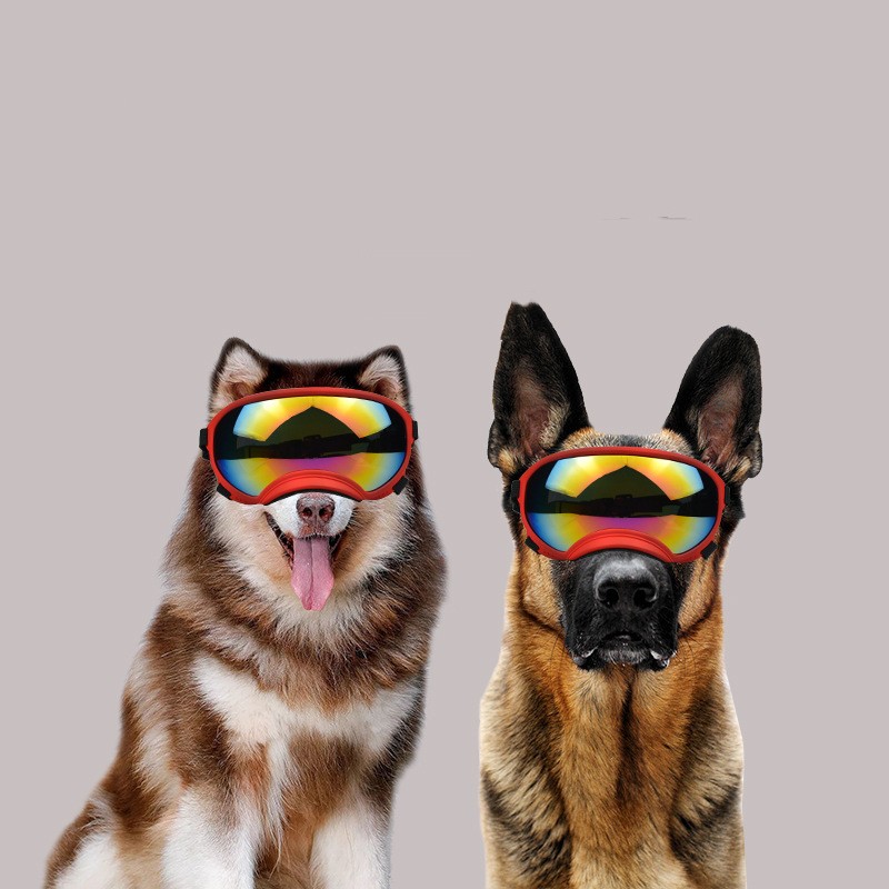 Nya husdjursglasögon hundvindtät ögonskyddsskidor vindrutan för stora hundar