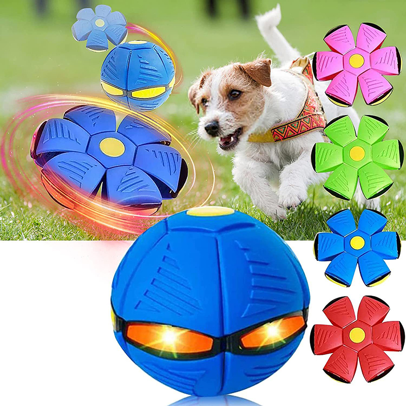 Pet Toy Toy Frisbee Ball Magic Voando Bolas OVNIs Durável de Rubrote Durável Bola de Discos de Discos Discos Kid Carda ao ar livre Brinquedos de jogo de praia