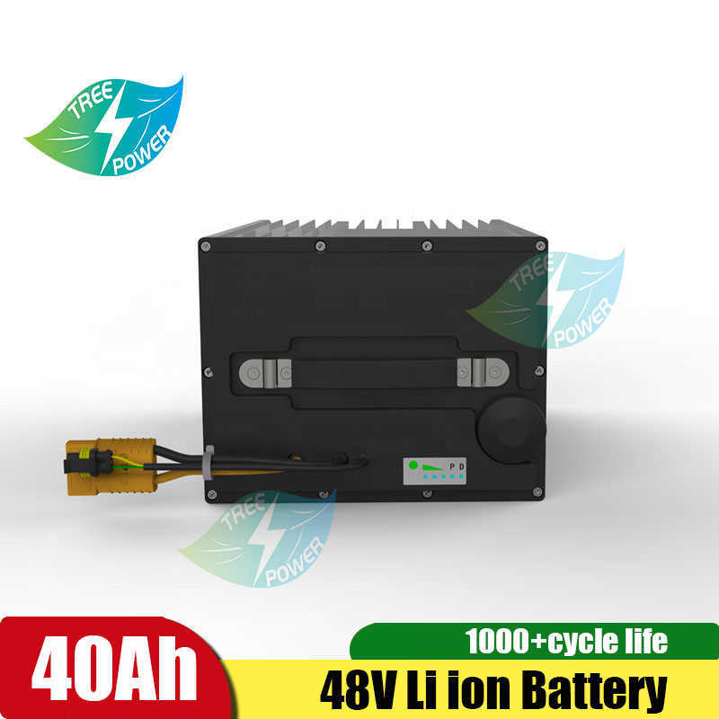 Batterie au lithium-ion Treepower 48V 40Ah avec alimentation continue 50A BMS 2000W pour le stockage d'énergie domestique + chargeur 5A