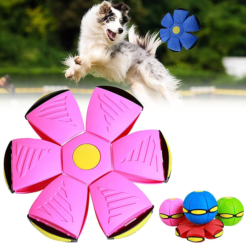 Pet Toy Toy Frisbee Ball Magic Voando Bolas OVNIs Durável de Rubrote Durável Bola de Discos de Discos Discos Kid Carda ao ar livre Brinquedos de jogo de praia