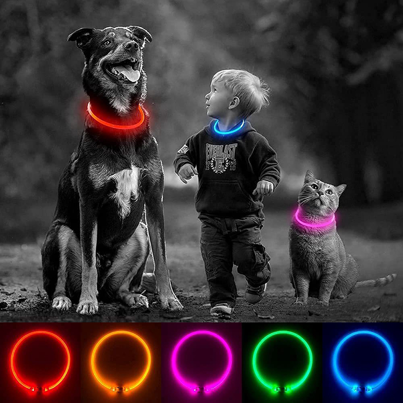 Couper le collier de dressage de chien de charge USB LED chargeur lumineux extérieur colliers de chien de compagnie lumière réglable 6 couleurs LED collier de chien clignotant avec câble de chargeur