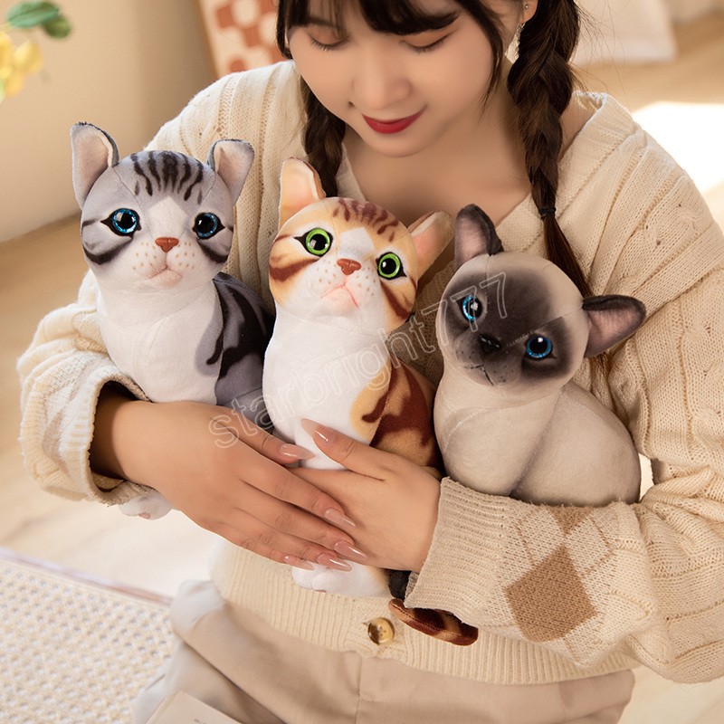 25cm Kawaii Simülasyon Pet Kedi Peluş Oyuncaklar Karikatür İngilizce Kısa Kedi Calico Kedi Peluş Bebekler Doldurulmuş Çocuk Hediyeleri