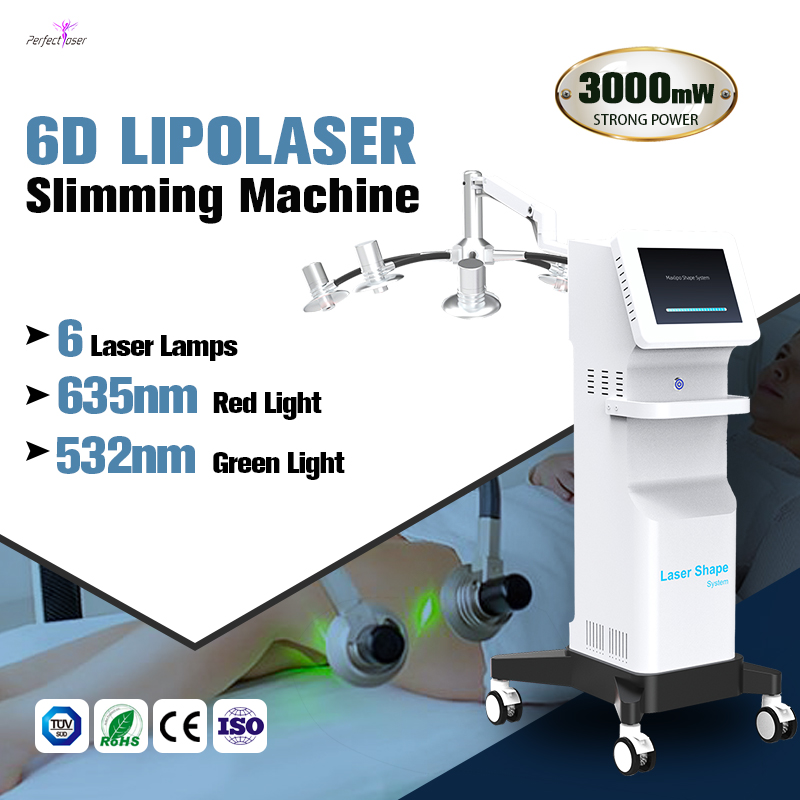 2023 Hot Vertical 6D OEM Laser Viktförlust Enhet Body Slimming Cellulite Laser Slim Lipo 600W Power Non Invasive Fat Borting 650nm 532nm Cold Laser Machines