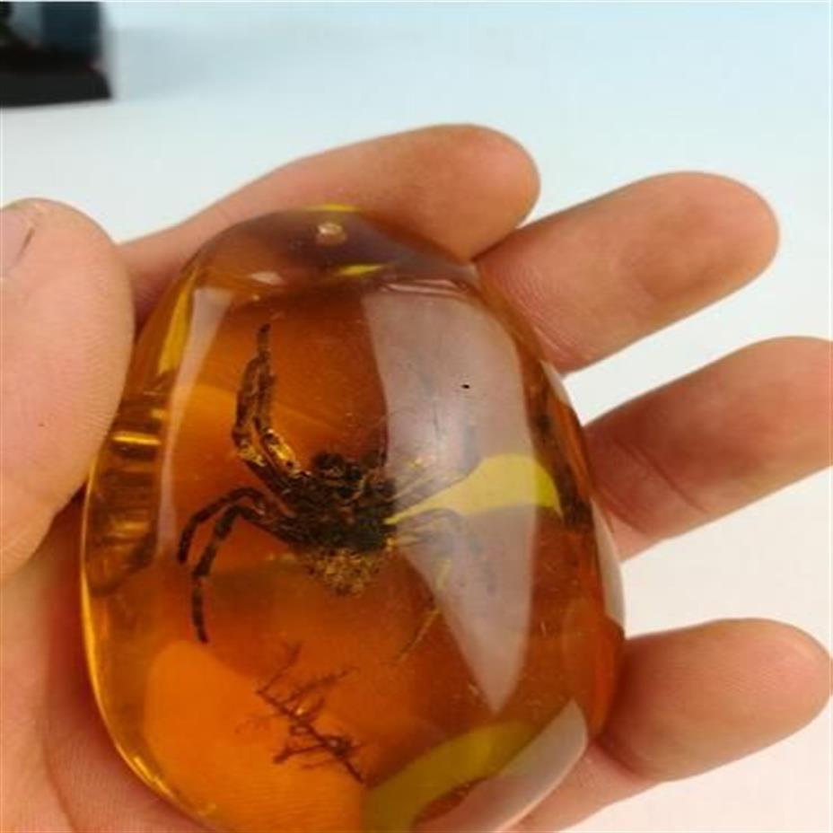 Rare Amber Spider Amber Spider Pendant181C