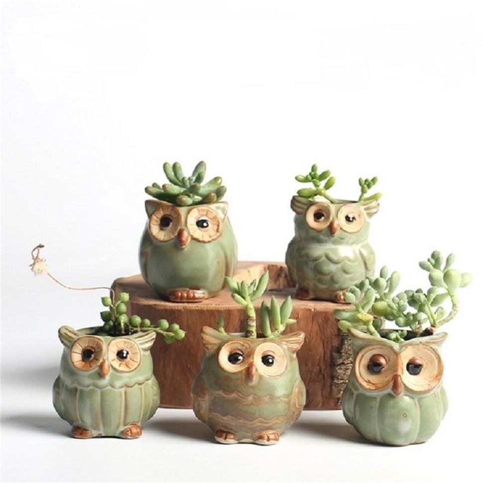 5 datorer Set Creative Ceramic Owl Shape Flower Pots Planter Desk Söt design Succulent Y200723229B