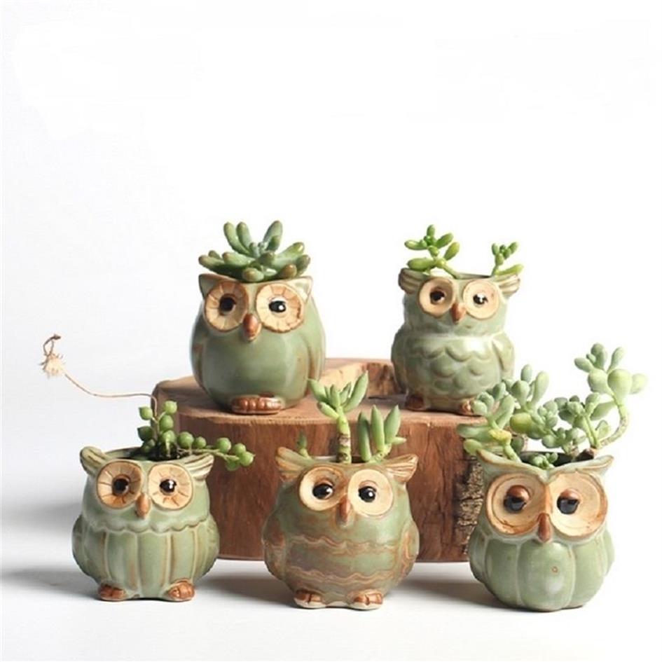 5 datorer Set Creative Ceramic Owl Shape Flower Pots Planter Desk Söt design Succulent Y2007232448