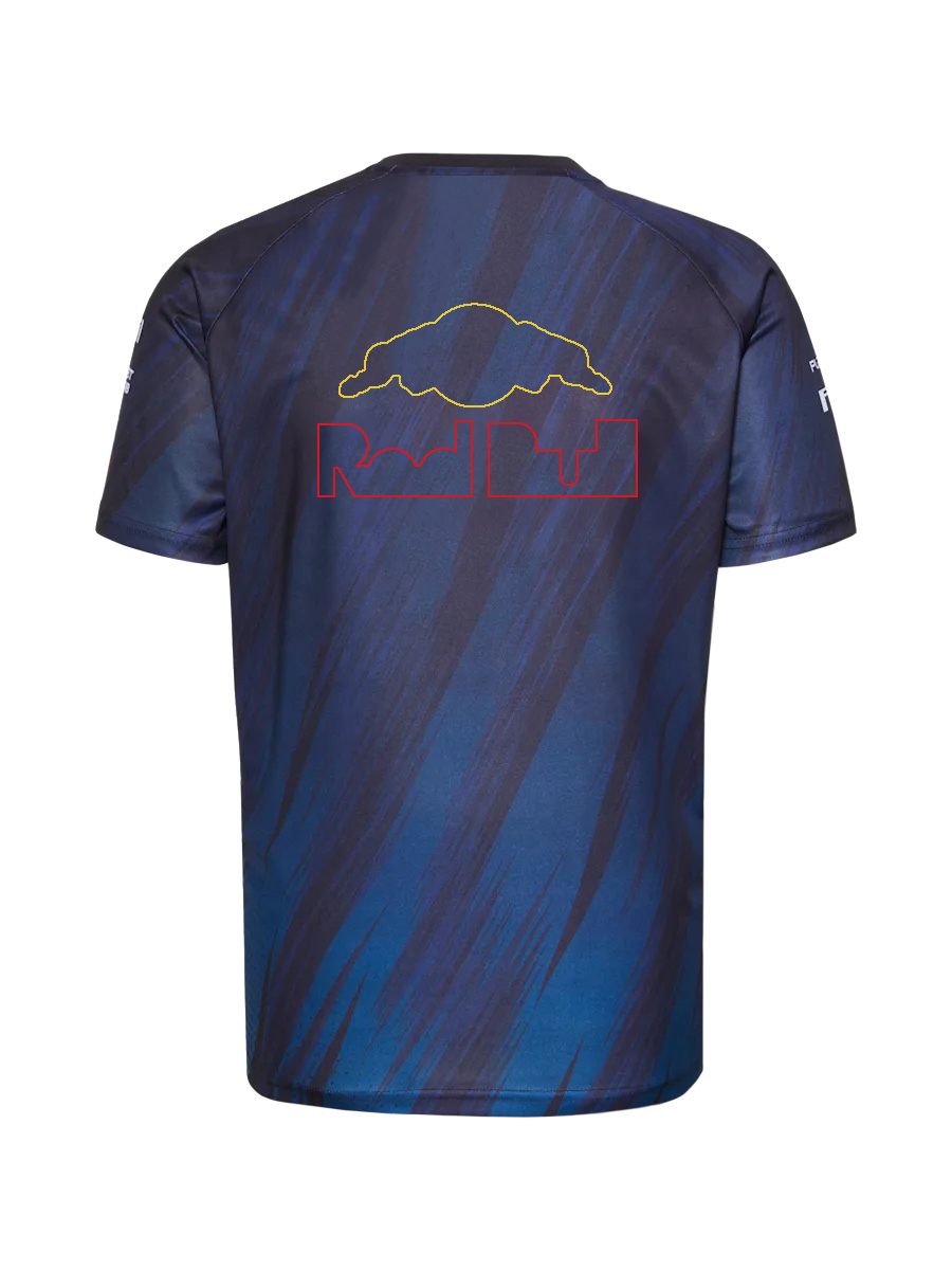 F1 2023 T-shirt pour hommes Logo de l'équipe de Formule 1 T-shirt en jersey T-shirt de sport de course T-shirt spécial de la nouvelle saison T-shirt surdimensionné pour les fans de voitures d'été