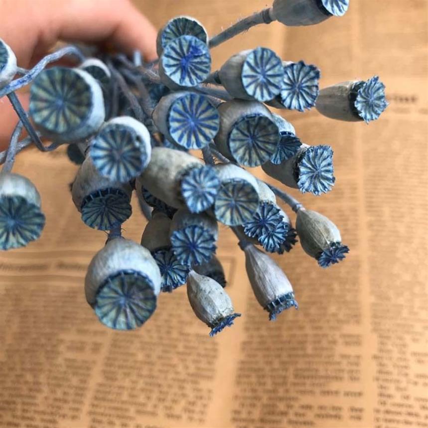 0 5-1cm 헤드 진짜 말린 천연 꽃 작은 양귀비 과일 가지 영원한 건조 포피 꽃 홈 장식 웨딩 장식 20213f