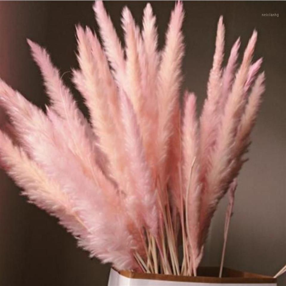 10 STKS Natuurlijke Gedroogde Kleine Pampas Gras Phragmites Communis Bruiloft Bloem Bos 40 tot 68 cm Hoog voor Thuis Decor1203S