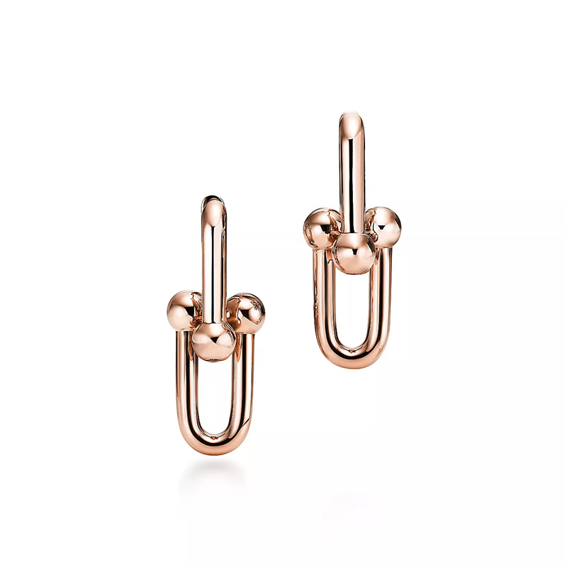Luxury 925 Silver Horseshoe Earrings from Europe and America, Fashionable and Popular U-shaped Earrings, Anniversary Party Gift