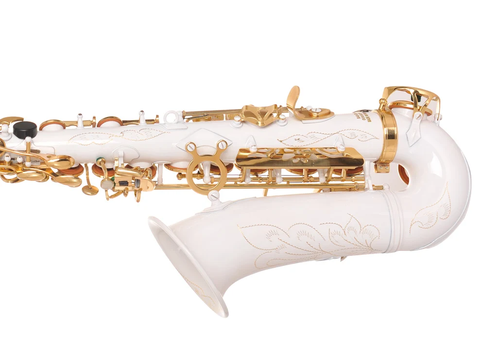 Nuovo sassofono contralto di alta qualità Sax Professional E flat Saxofone Strumenti musicali Custodia gratuita