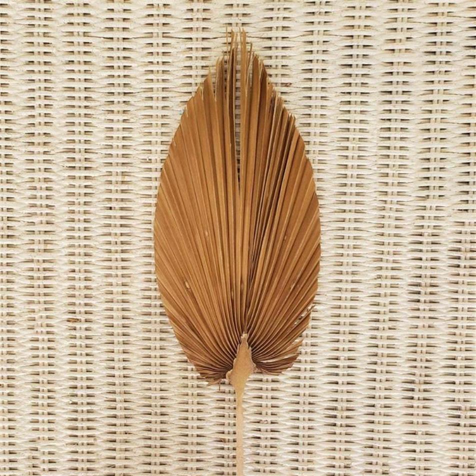 Palm Fan Leaf Getrocknete Blume Natürliche Getrocknete Palm Leaf Fan Pflanze DIY Party Kunst Wand Hängen Hochzeit Decor179u