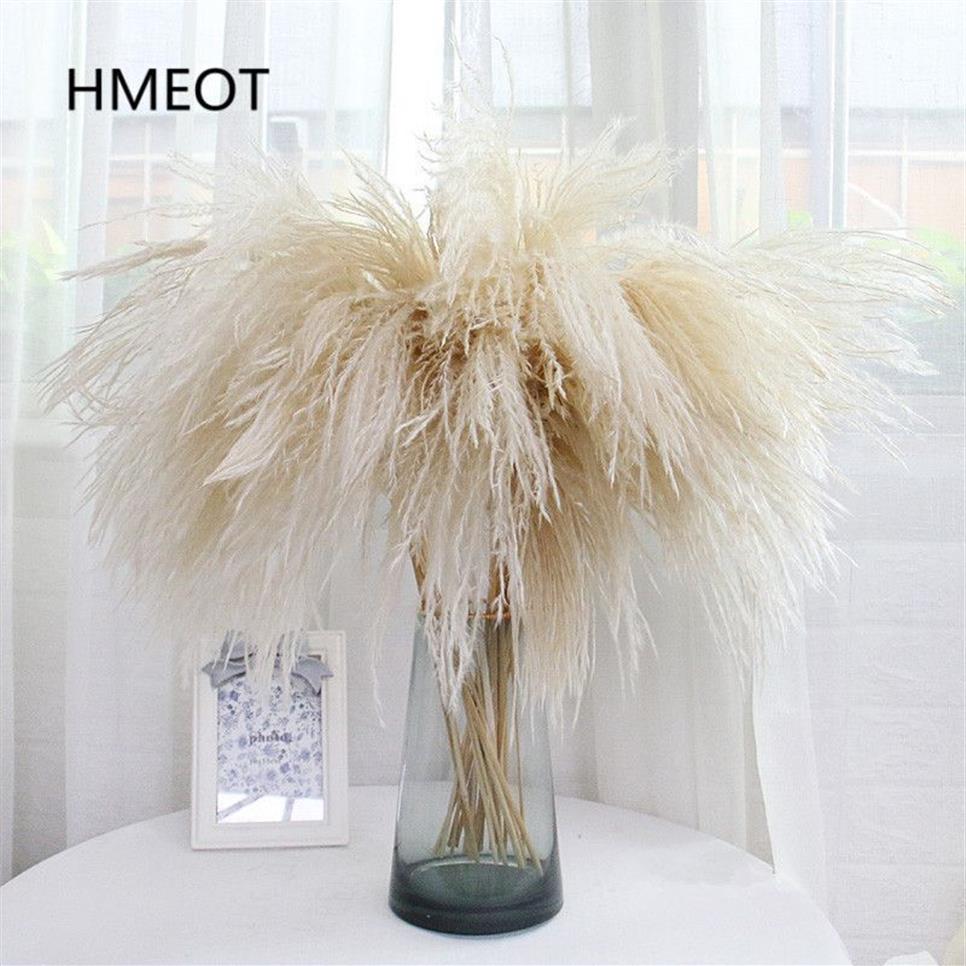 Pampas Grass Home Decor Reed Fouet Fleur Séchée Daisy Arrangement De Mariage Plantes De Noël Matériel Fleurs Artificielles / 2309m