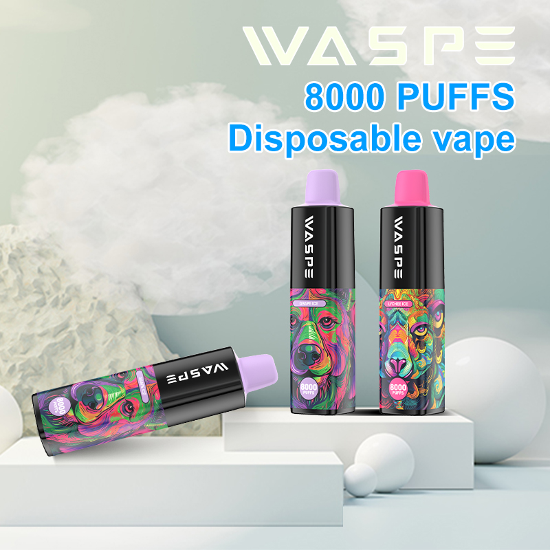 2023 Hot selling vapor kit waspe disposable vape desechable 8000 puffs vape pod pen rechargeable battery electronic cigarette vaper