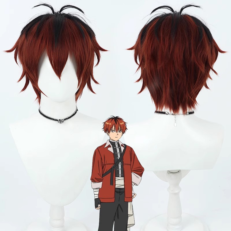 Wigs Anime Costumes cosplay Anime Frieren At The Funeral Himmel ,Frieren,Fern ,Linie ,Stark, Elf Ear Male and female adult Halloween Carnival Party wig