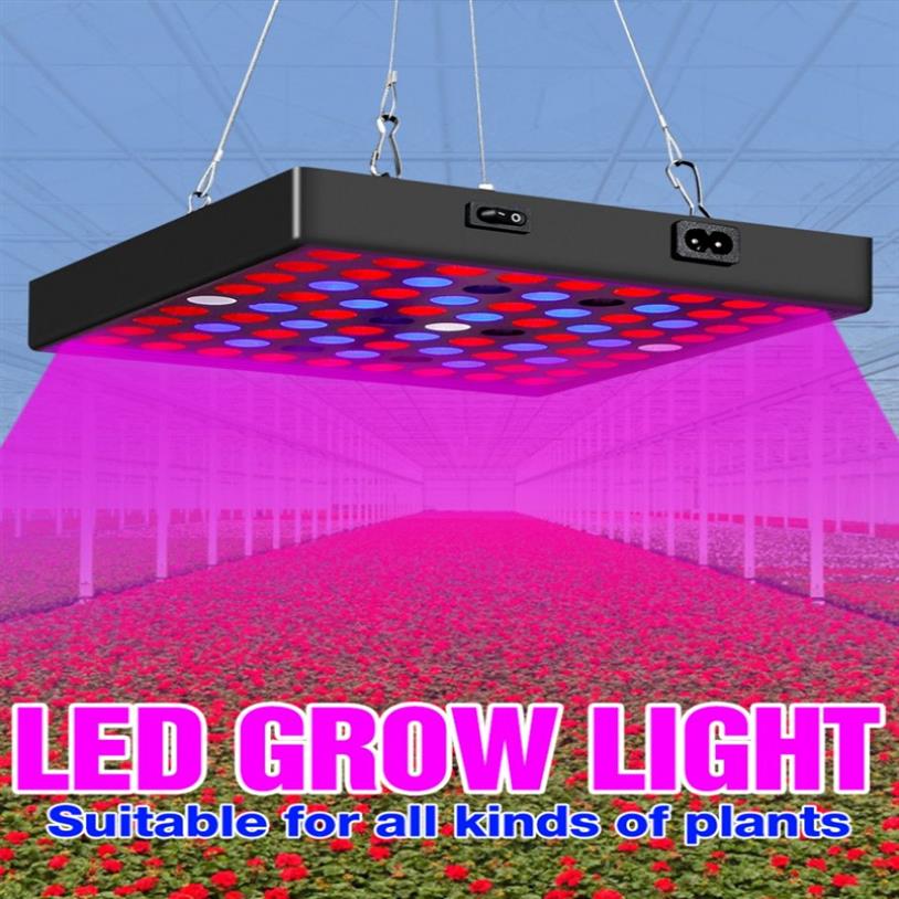 Lampe horticole de croissance LED, 2000/3000W, phytolampe à spectre complet pour serre, éclairage pour plantes, 301y