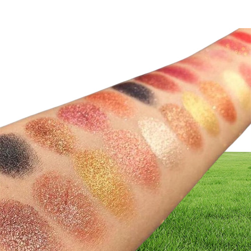 Nouveau maquillage Dikalu Palette de fards à paupières Coco Venus 35 couleurs Smorment Matte à paupières paillettes Palettes d'ombre imperméable Cosmetics Beauty1524994