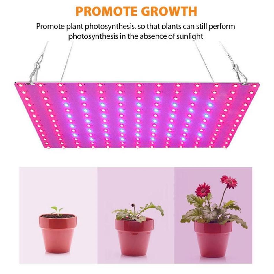 Wachstum von Leuchten Bare Board LED -Pflanzen Wachstum Lichtrot rot und blaues Spektrum Füllen Sie die Pflanzung Innenlampe EU UK US Plug255y