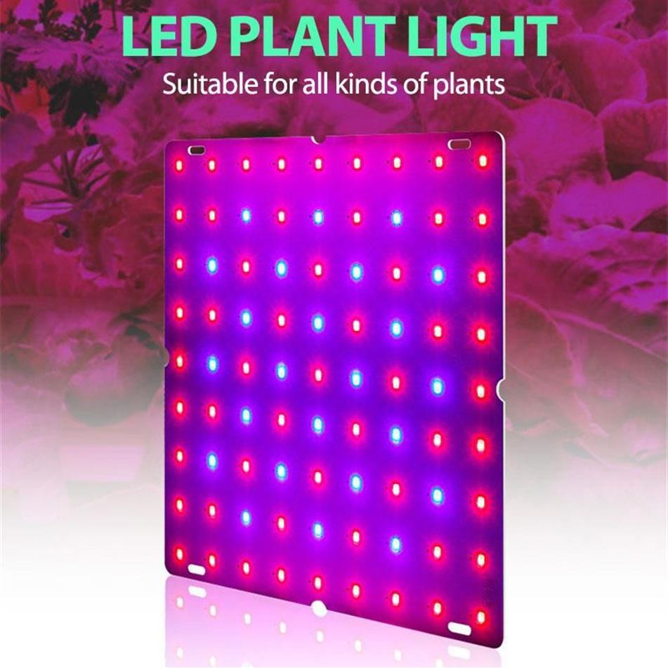 Grow Lights Bare Board LED Plant Growth Light Red And Blue Spectrum Fill Planting Indoor Lamp EU UK US Plug264E