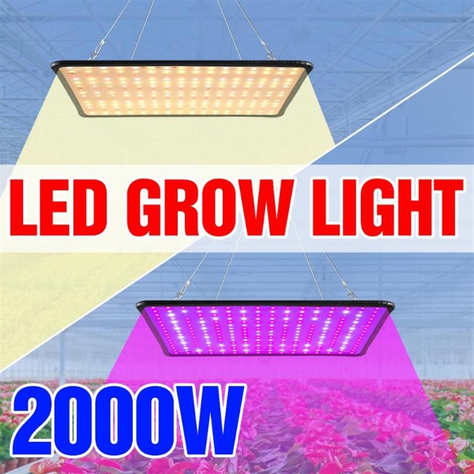 1000W Phyto Lampe LED Full Spectrum Grow Lampe 1500W Phyto Wachstum Licht 2000W LED -Innenpflanzen Glühbirnen US EU UK Plug Fitolampy238u