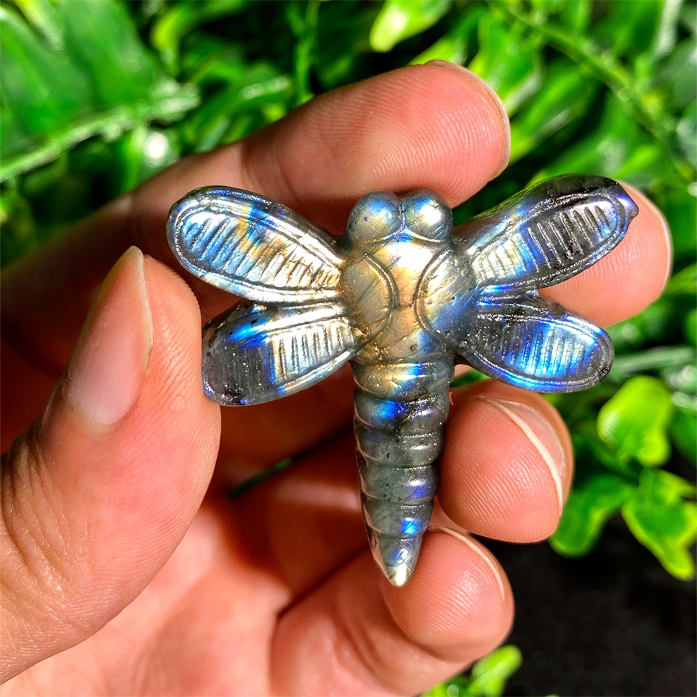 Regalo Pietra minerale naturale intagliata Labradorite Libellula Cristallo Quarzo Figurina Gemma curativa Reiki Decorazione della casa