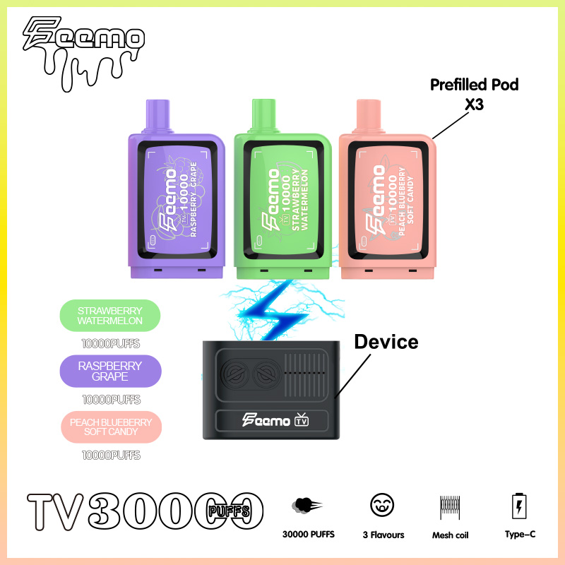 Entrepôt UE Feemovape TV30000 Puffs Kit Puff30000 Vape jetable Cigarette électronique Vape Box 60ML e-jus Type-C Câble Batterie rechargeable