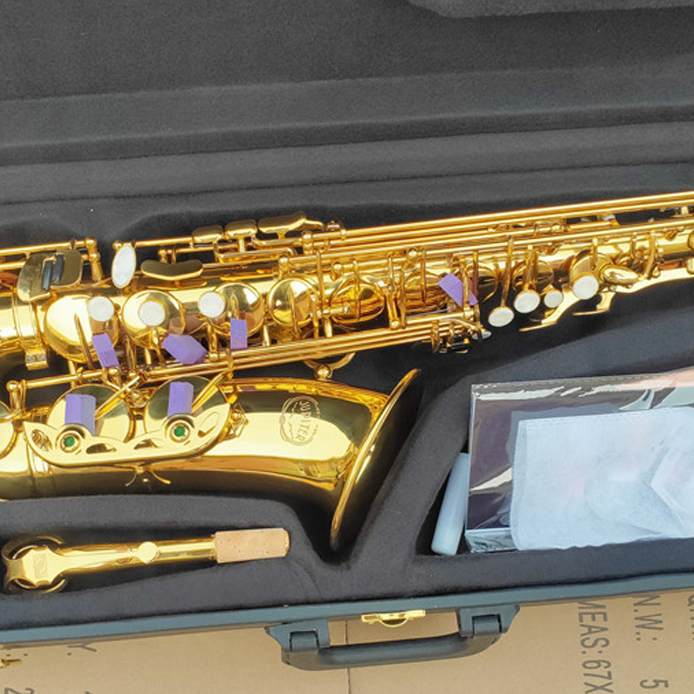 New arrival JAS-669 woodwind instrument alto eb tuning professional saxophone lacquered gold with case mouthpiece