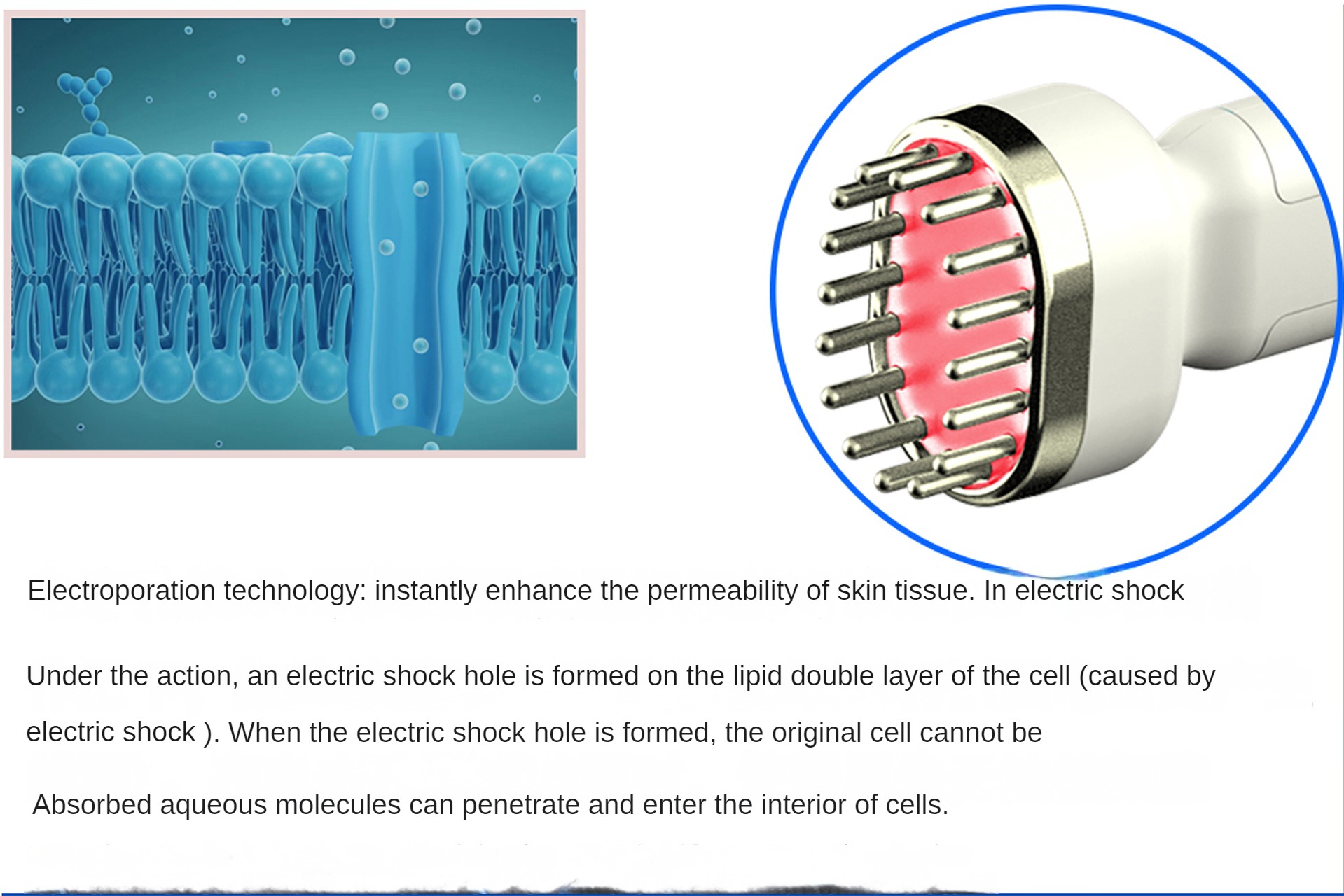 Oxygen Jet 6 em 1 novo pequeno multifuncional limpeza hidratação instrumento de gerenciamento de pele instrumento de ultrassom de radiofrequência salão de beleza