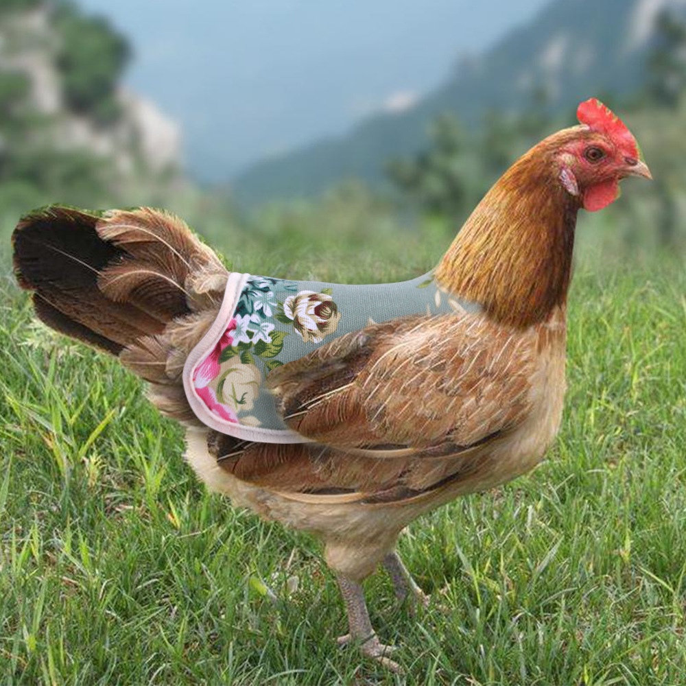 Poulet gilet plume protecteur retenue aile arrière protection selle poules canard oie tablier décoratif robe avec sangles élastiques