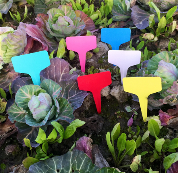 Etichetta piante in plastica di tipo T Marcatori piante Etichetta giardinaggio da giardino Etichetta fiori Etichetta vivaio Etichetta etichette Etichette spesse JL1478