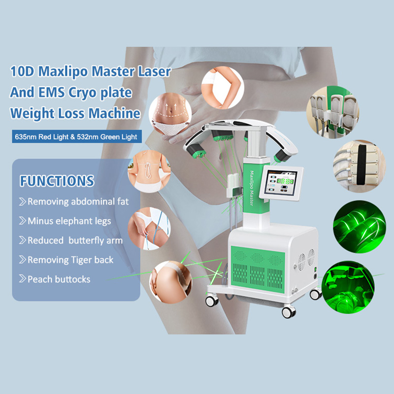 Cryoipolyse laser portable EMS Entraînement musculaire Ligne de perte de poids Light Green Red Light 10D Lipolaser 532 Nm 635 Nm Laser froid pour la réduction des graisses Machine de rémince 3 en 1