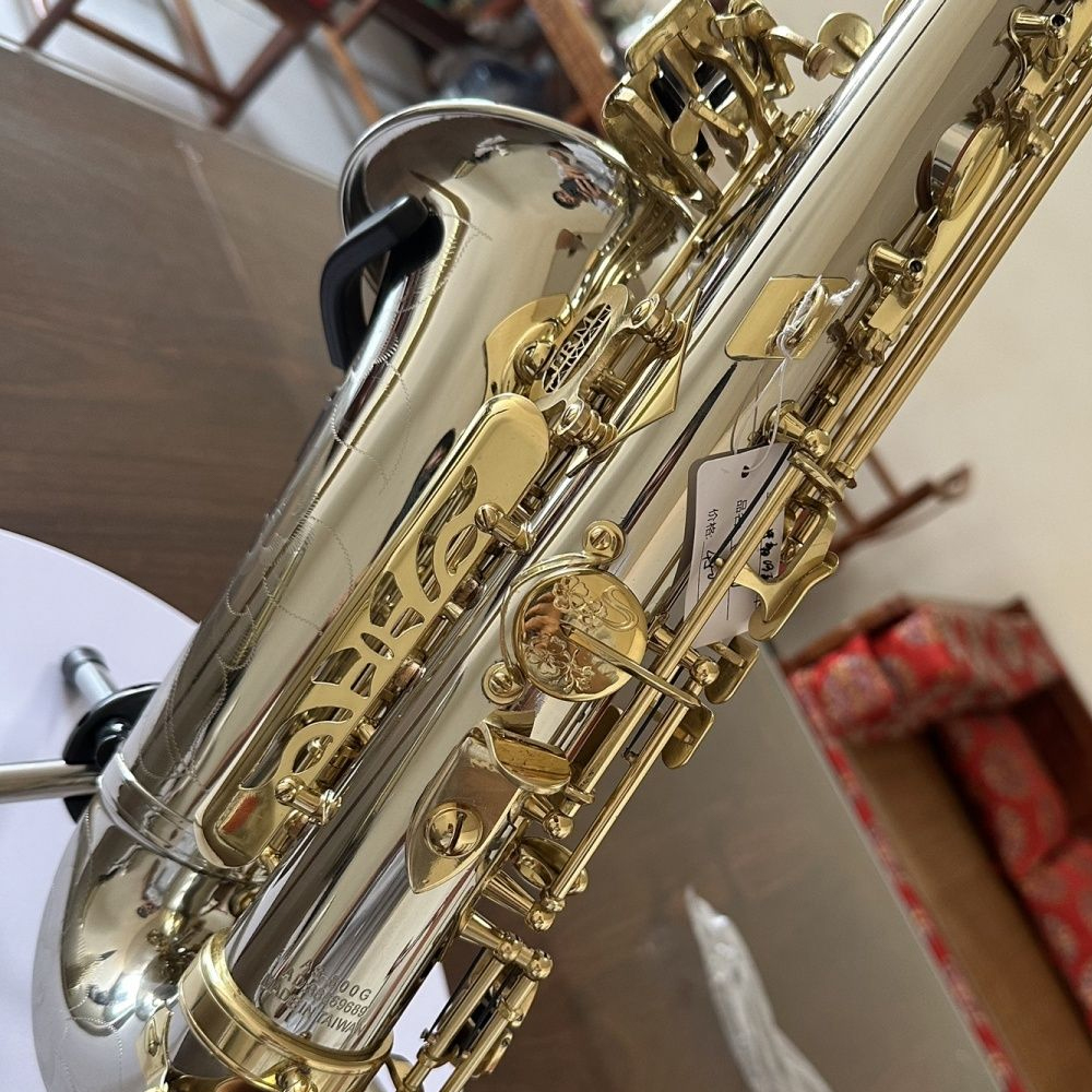 AS-800G Altsaxofon E-platt mässing nickelpläterad silver dubbelribbad förstärkning professionellt spelar jazzinstrument med fodral altsax