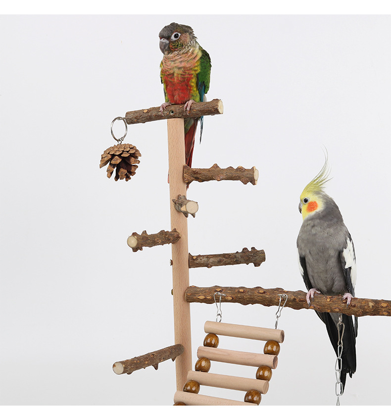 Bird Parrots Playstand Birdcage Play Gym Wood Bird Exercise Playground Large Parrot Perch Stand with Chewing Bell Toys Bird Feeding Cups Ladder Hanging Swing