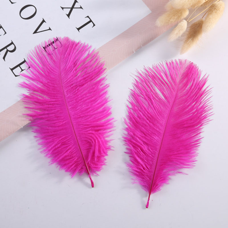 Party Decoration 7-8 Inch Ostrich Feather Plume White Pink Bury Table Centerpieces Celebrity Wall Decor